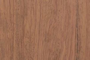 Madera de Bubinga: Características, Usos y Mantenimiento