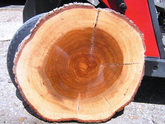 Madera de Pacana