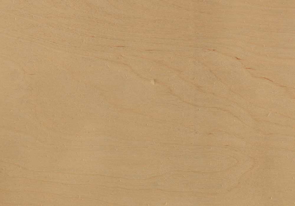 madera de birch