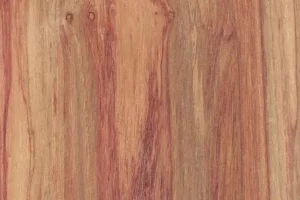 Guía esencial sobre la madera de tulipwood y sus usos